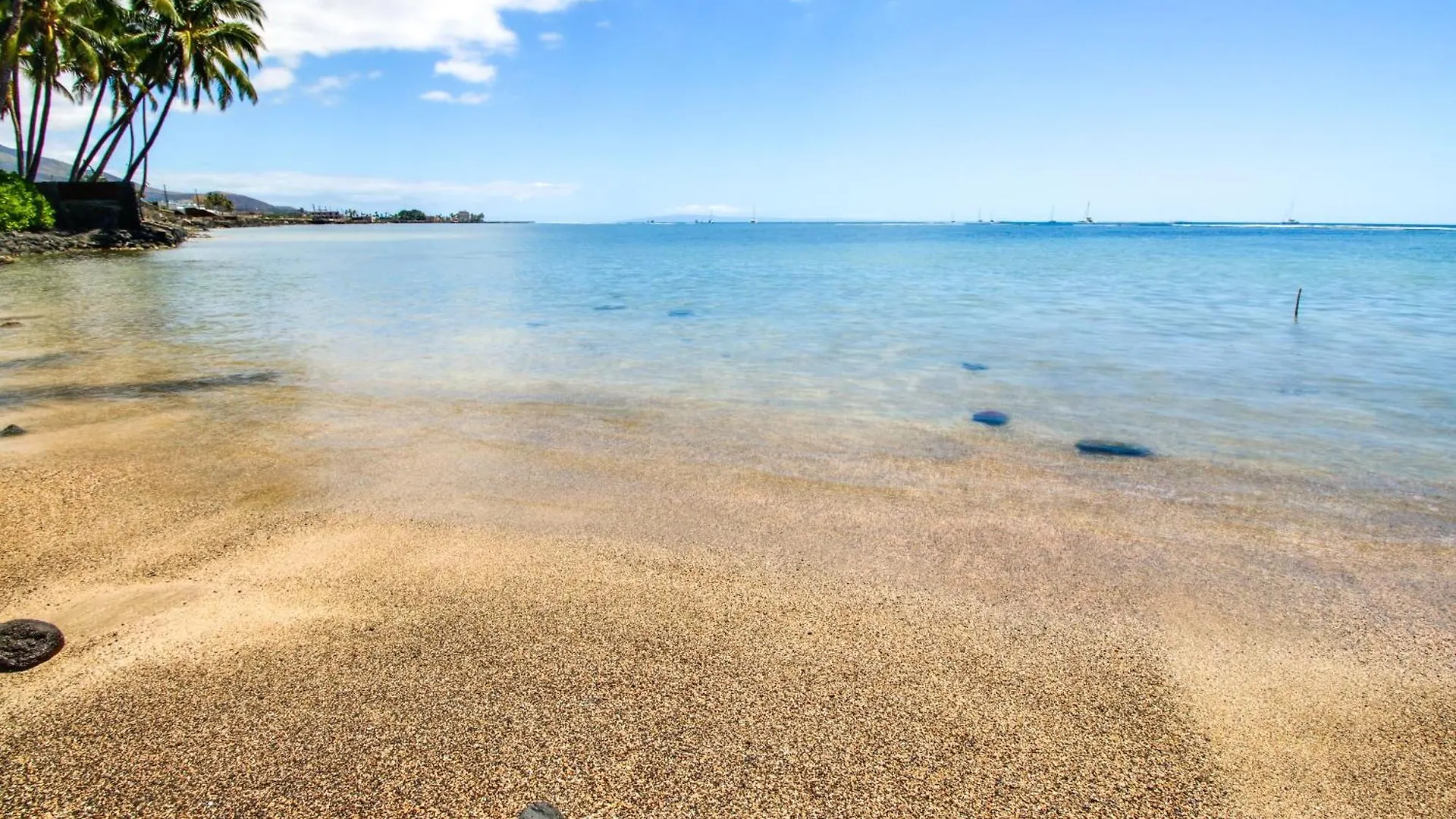 Walk To Baby Beach Home With Private Pool! 라하이나 미국